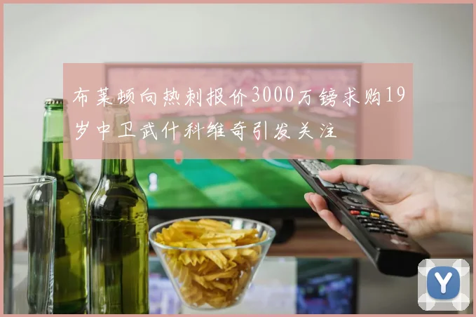 布莱顿向热刺报价3000万镑求购19岁中卫武什科维奇引发关注