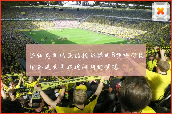 逆转克罗地亚的精彩瞬间B费呼吁团结奋进共同追逐胜利的梦想